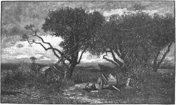 "THE OLD ORCHARD."&mdash;[R. SWAIN GIFFORD.]
