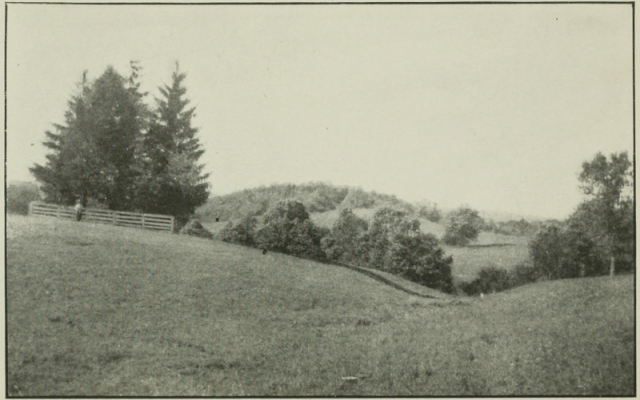Braddock&rsquo;;s Grave