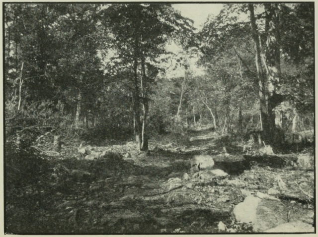 Braddock&rsquo;s Road near Frostburg, Maryland