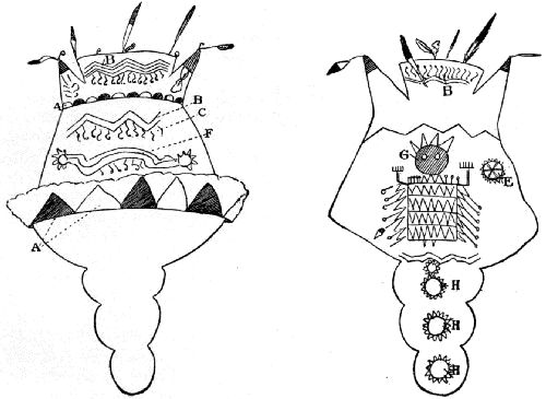 Fig. 434.&mdash;Nan-ta-do-tash's medicine hat.