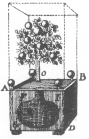 Diagram of the orange-tree trick, from Wiegleb’s “The
Natural Magic,” published in 1794.