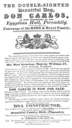 Billing used for Don Carlos, the double-sighted dog. From
the Harry Houdini Collection.
