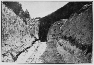 A cutting through an immense avalanche which fell some
months previously.