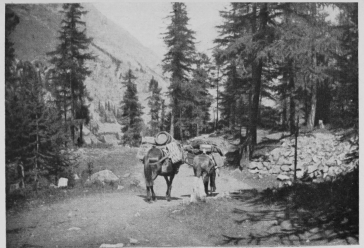 Provisions for a mountain hotel. By Royston Le Blond.

To face p. 152.