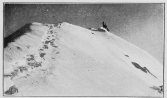 The summit of the Jungfrau. (P. 217.)

To face p. 235.