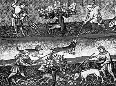 OTTER-HUNTING