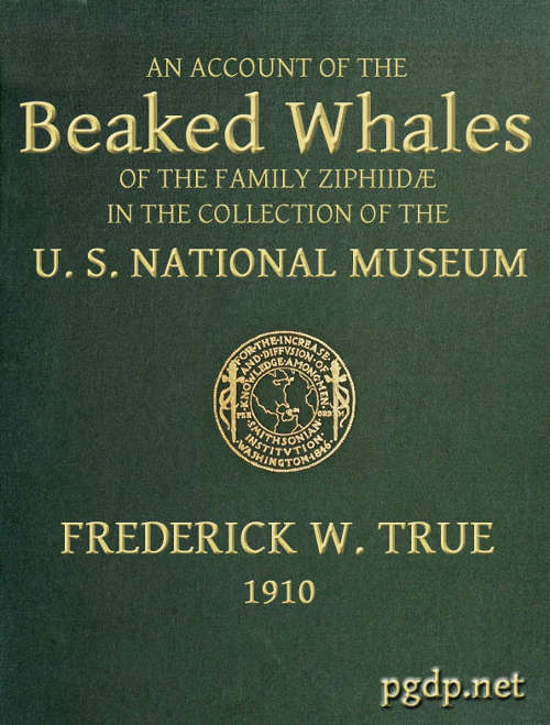An Account of the Beaked Whales of the Family Ziphiid&aelig; in the Collection of the United States National Museum