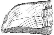 Fig. 76.&mdash;Lomo asado.