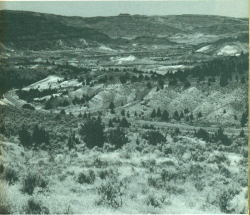 Fig. 9.&mdash;Northwest view down Cottonwood Creek toward Monument.