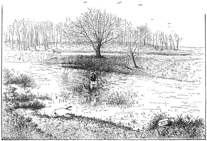 FORDING SNAKE RIVER.&mdash;(Page 194.)