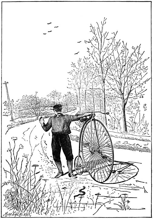 A RATTLESNAKE DISPUTES THE WAY.&mdash;(Page 118.)