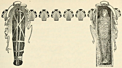 (decorative)