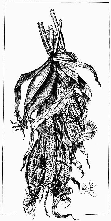 A Panel of
Field-Corn