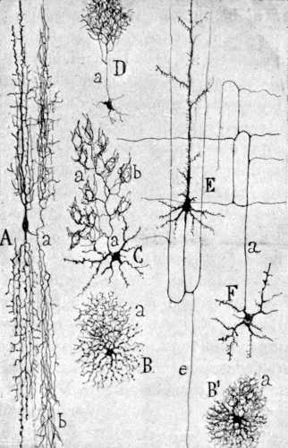 Ilustración