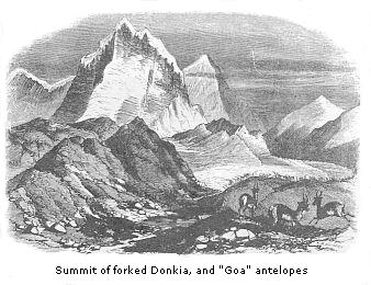Summit of forked
Donkia, and “Goa” antelopes