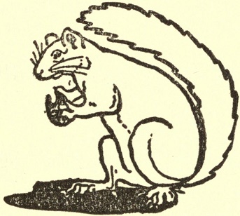 A squirrel munching a pine-nut