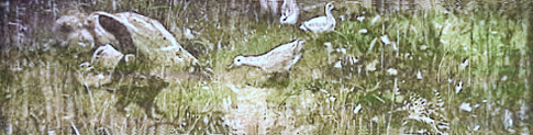 image017