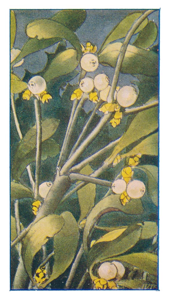 38
