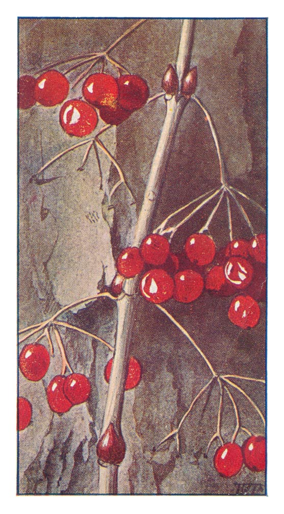 56