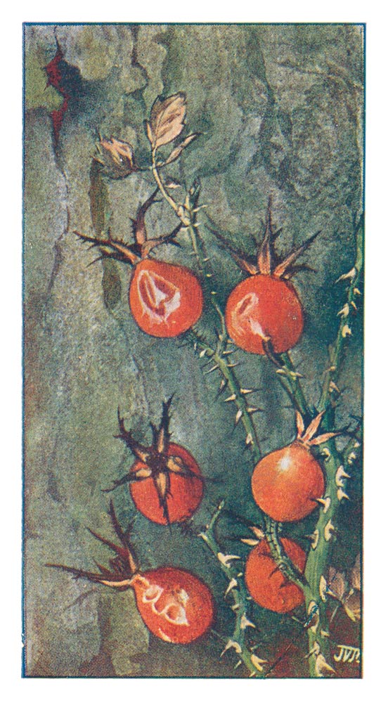 59