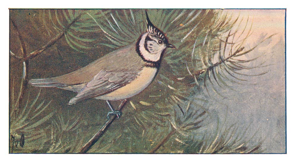 63