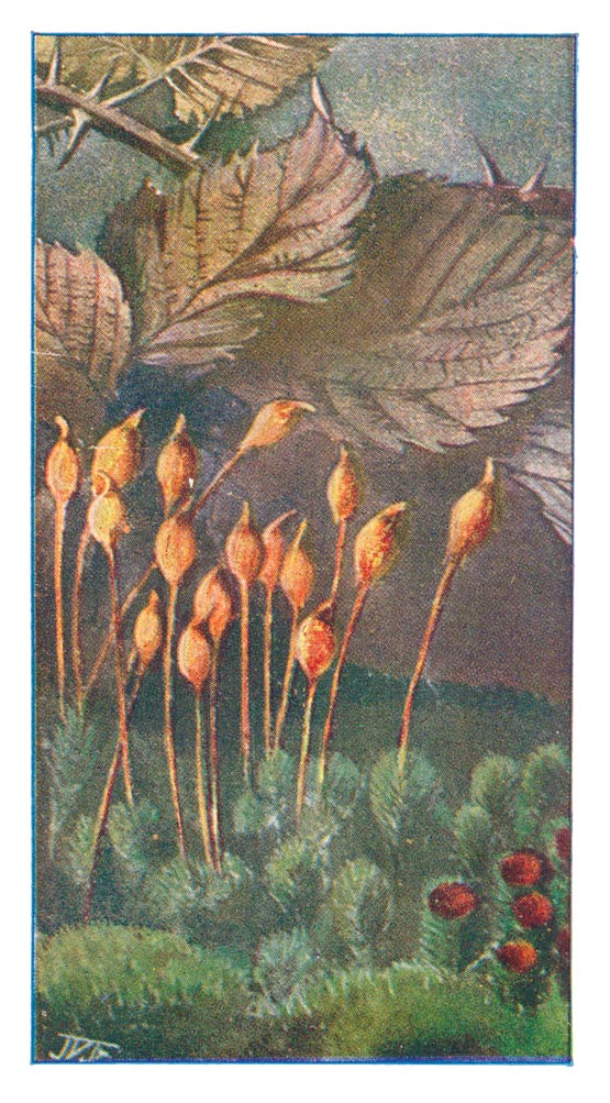 97