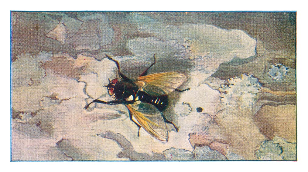 109