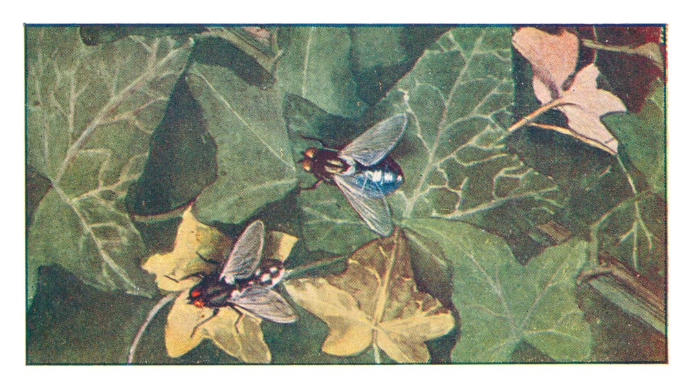 110