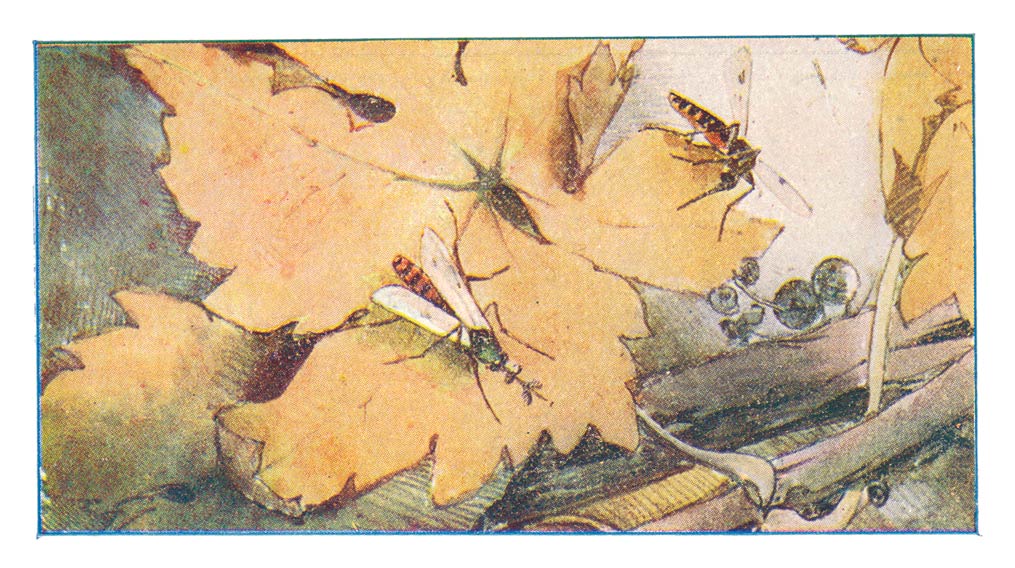 114