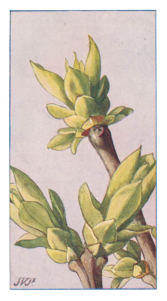 130