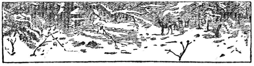 '[Fleuron]’