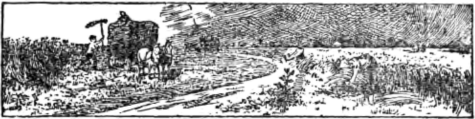 '[Fleuron]’
