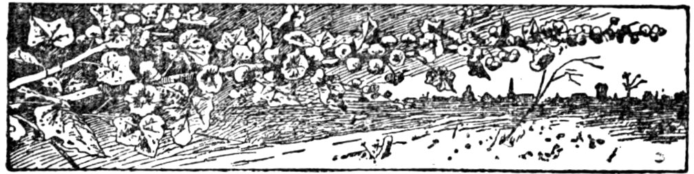 '[Fleuron]’
