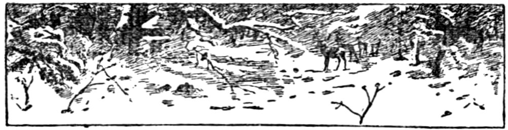 '[Fleuron]’