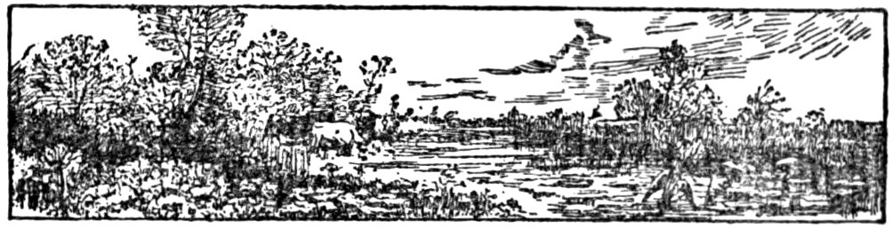 '[Fleuron]’