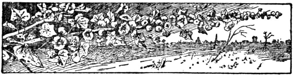 '[Fleuron]’