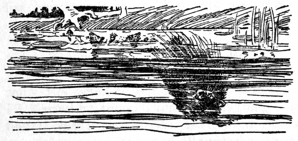 [Porcupine]