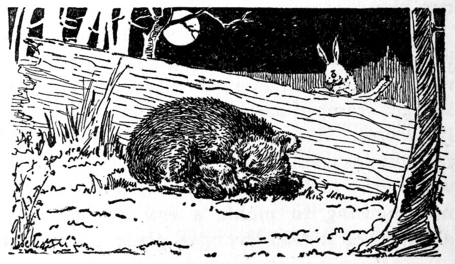 [Bear & rabbit]
