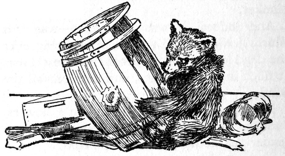 [Bear]