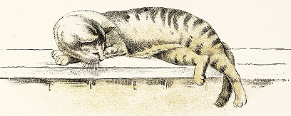 Cat lies on a ledge