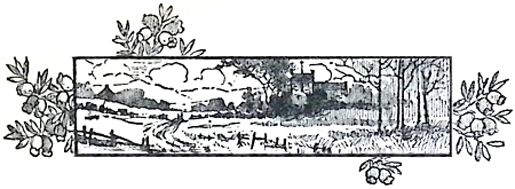 image035