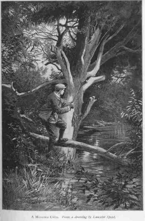 A MONSTER CHUB.
From a drawing by Lancelot Speed.